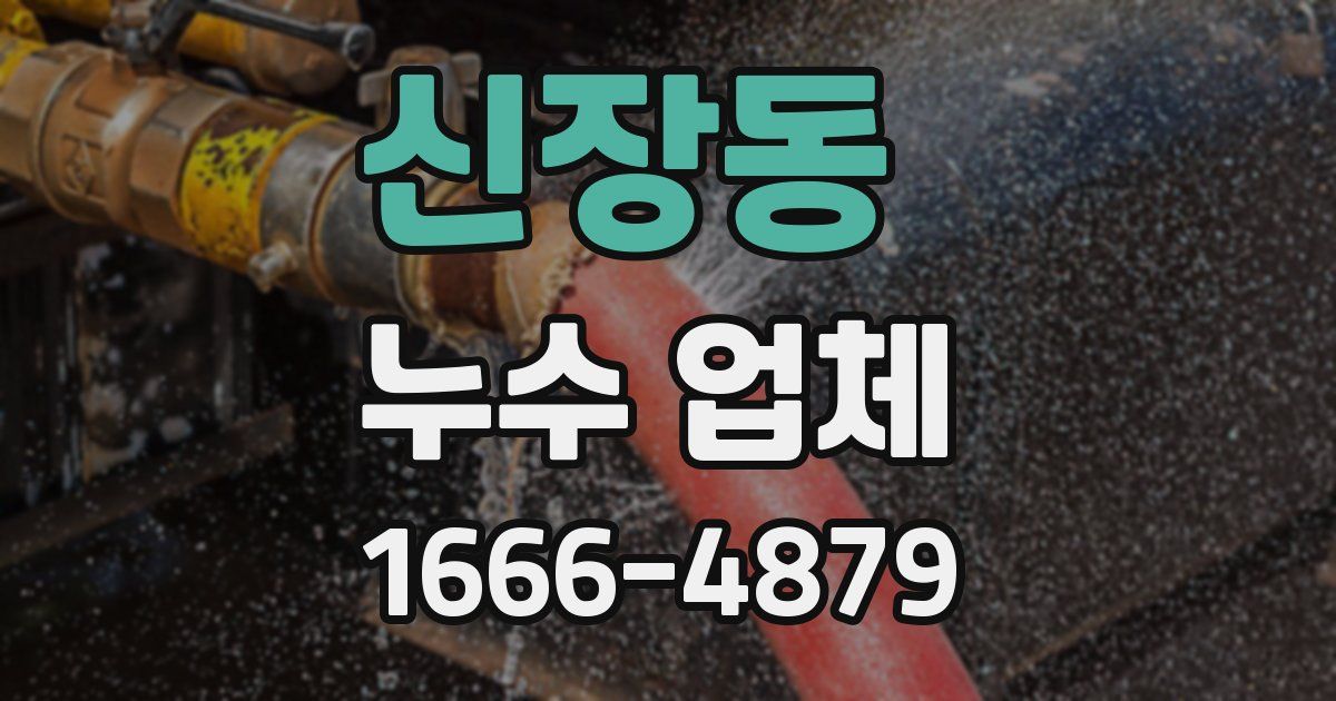 신장동 누수 업체