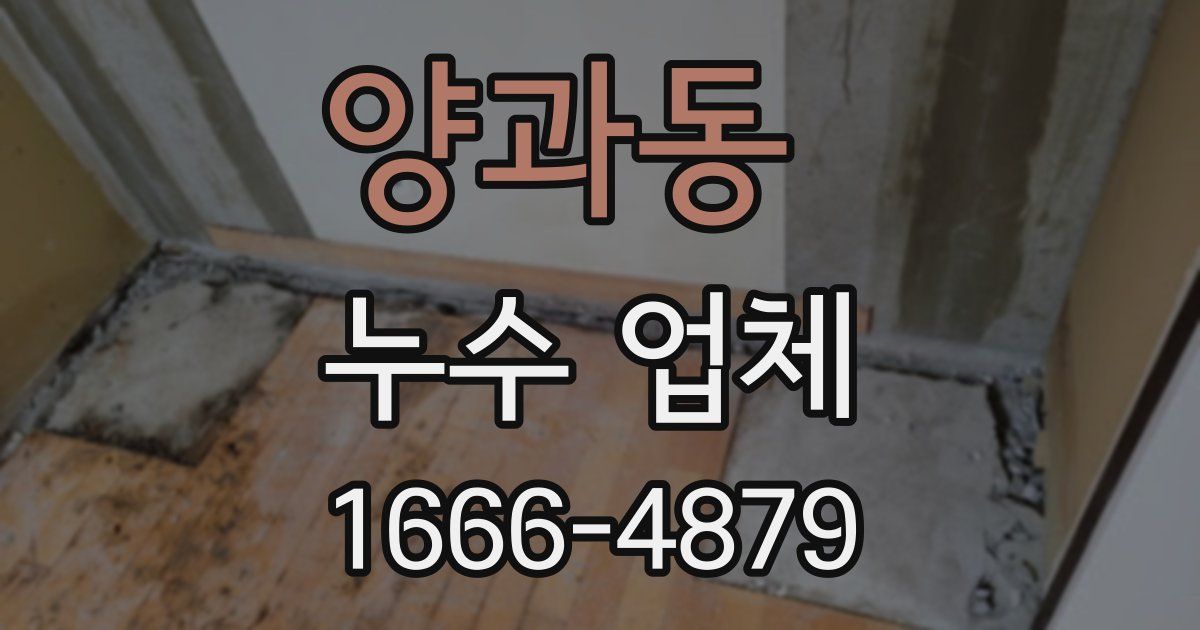 양과동 누수 업체