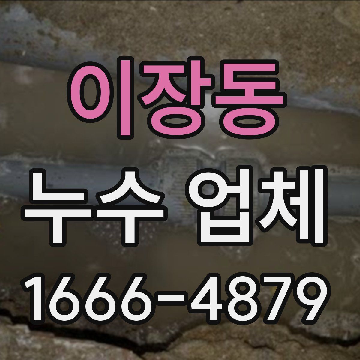 이장동 누수 업체