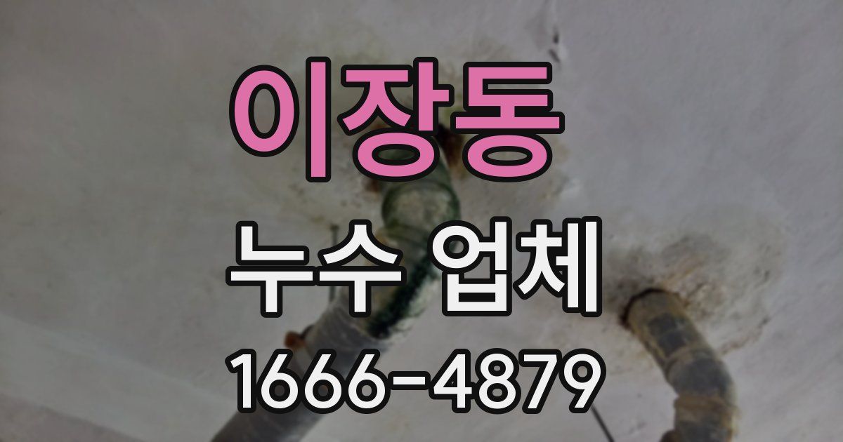 이장동 누수 업체