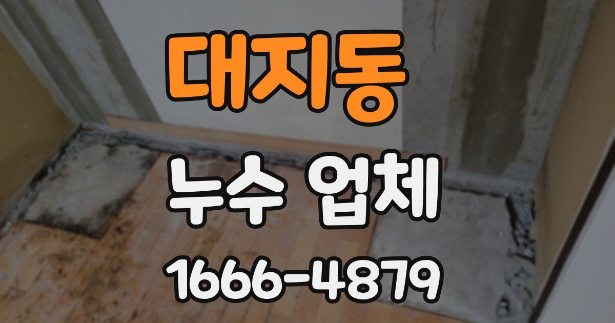 대지동 누수 업체