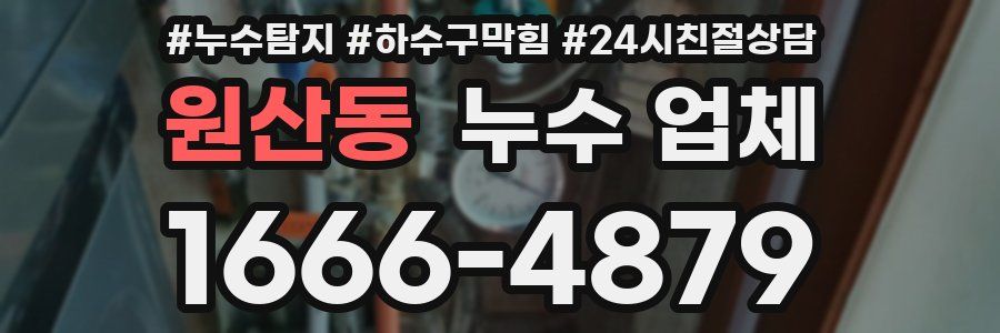 원산동 누수 업체
