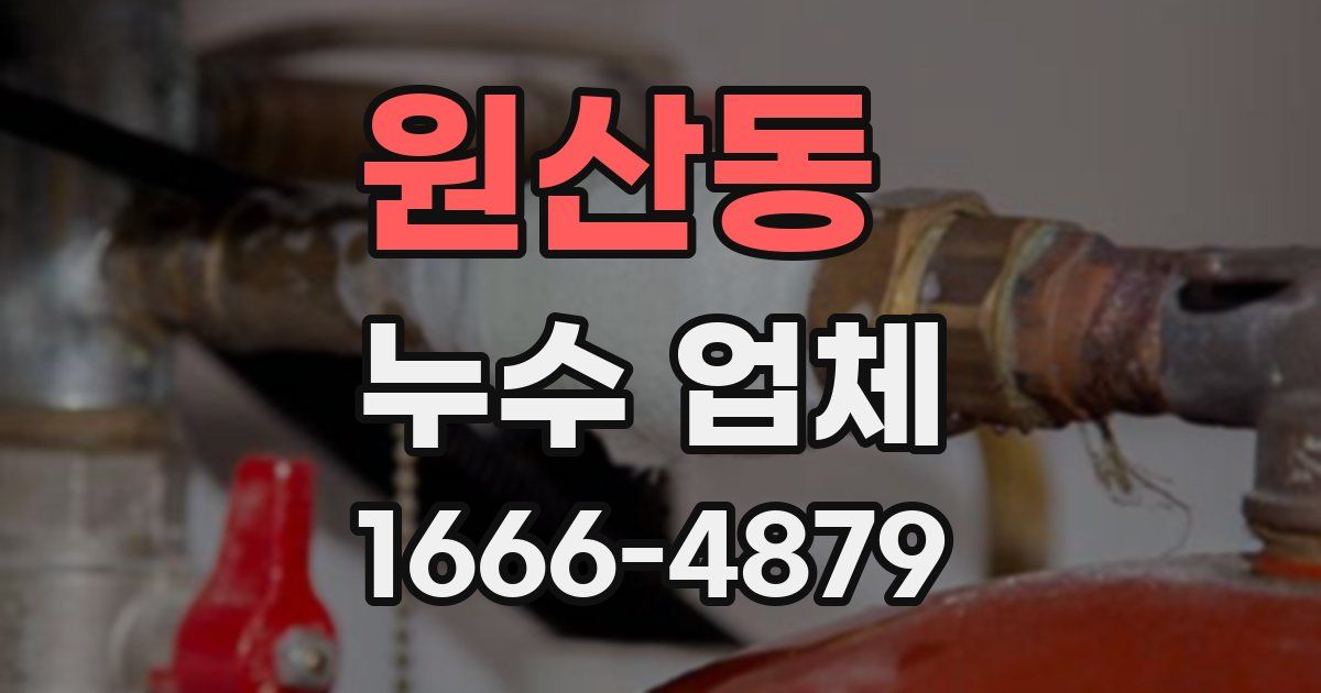 원산동 누수 업체