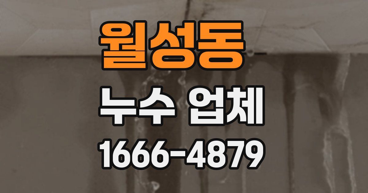월성동 누수 업체