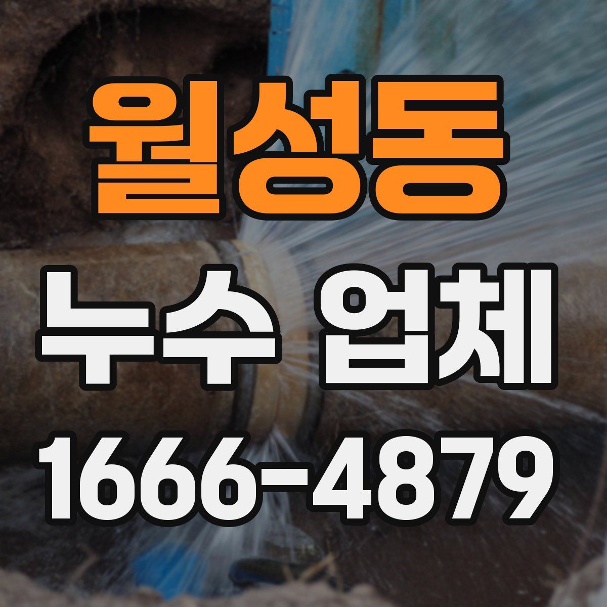 월성동 누수 업체