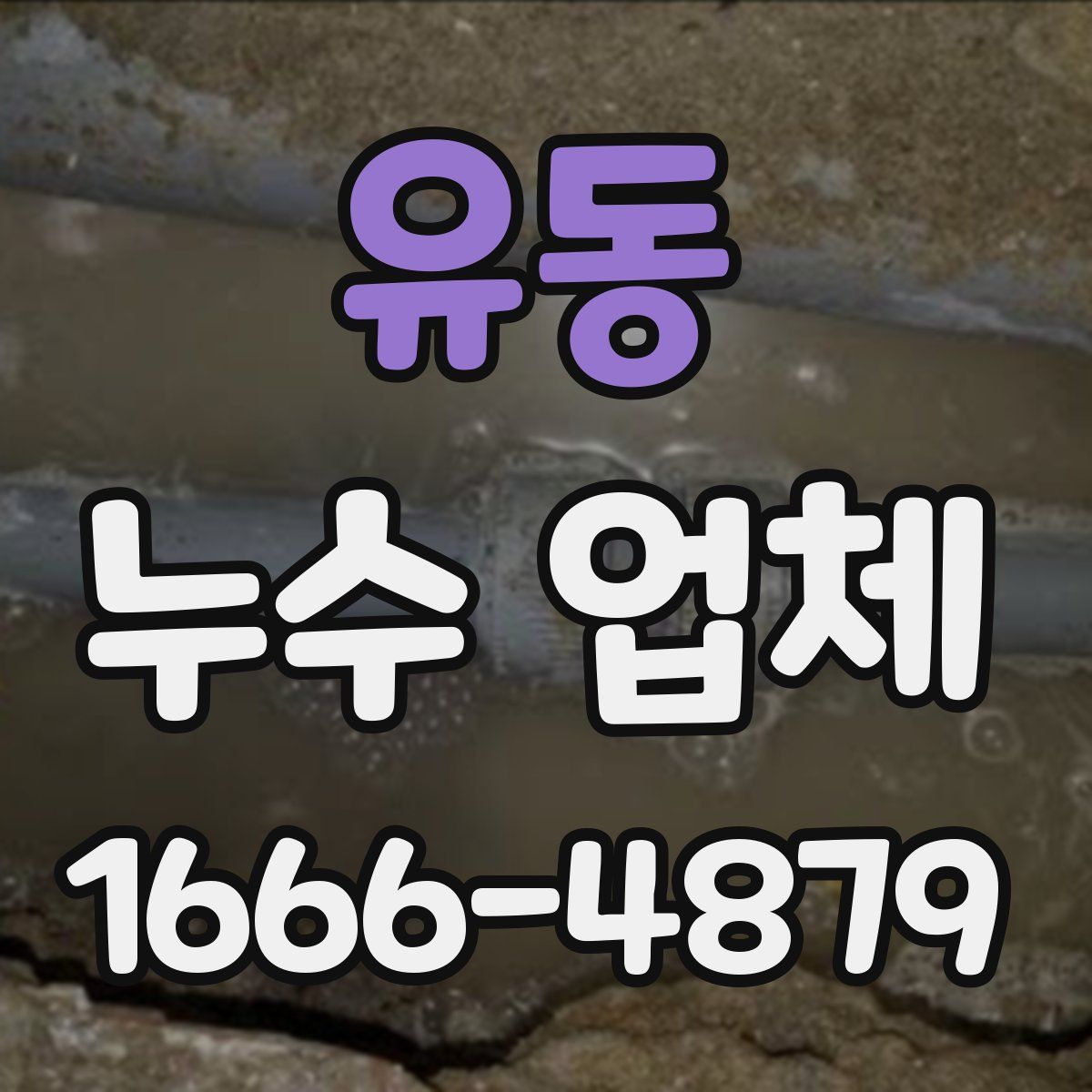 유동 누수 업체