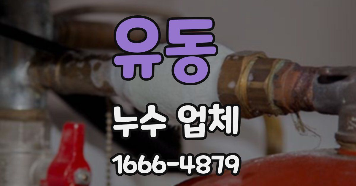 유동 누수 업체