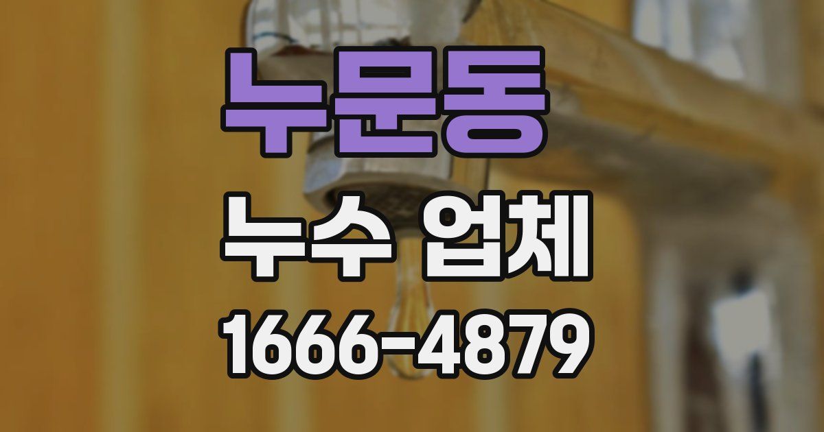 누문동 누수 업체