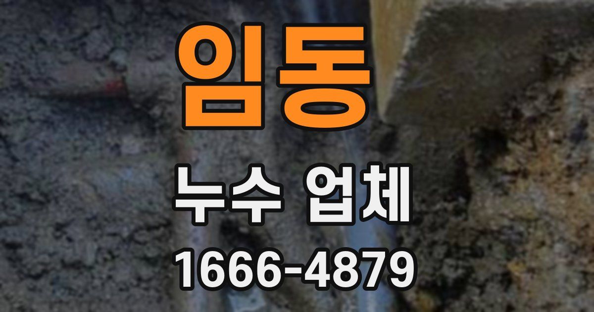 임동 누수 업체