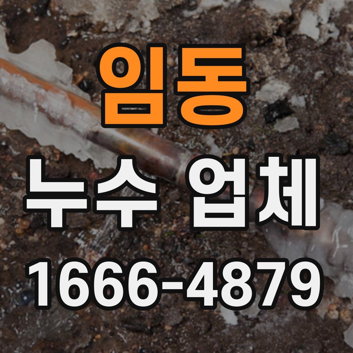 임동 누수 업체