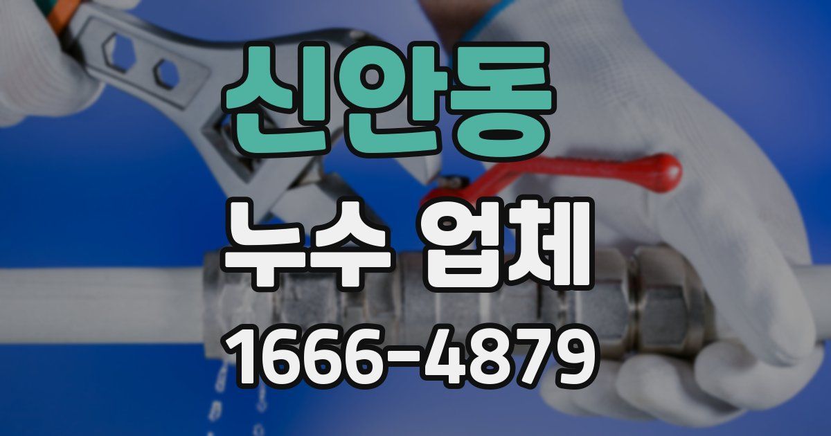 신안동 누수 업체