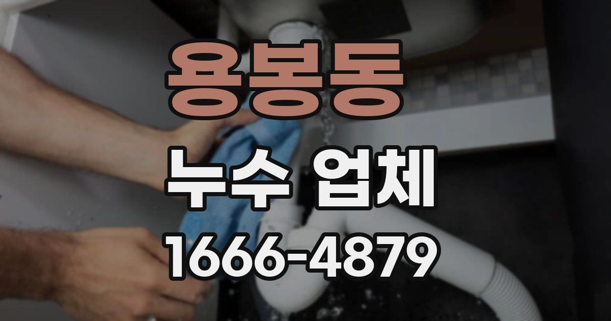 용봉동 누수 업체