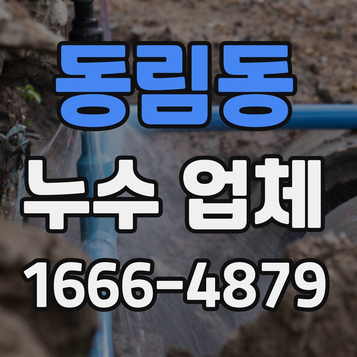 동림동 누수 업체