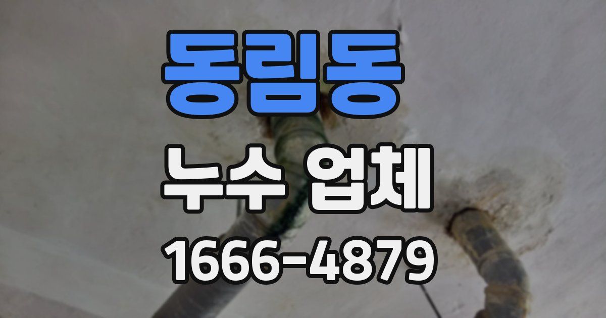 동림동 누수 업체