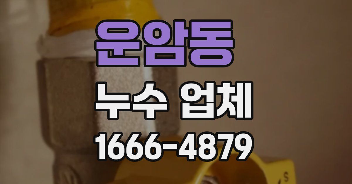 운암동 누수 업체