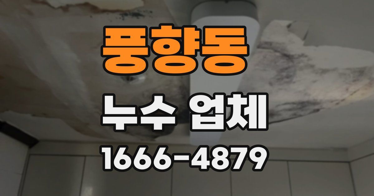풍향동 누수 업체