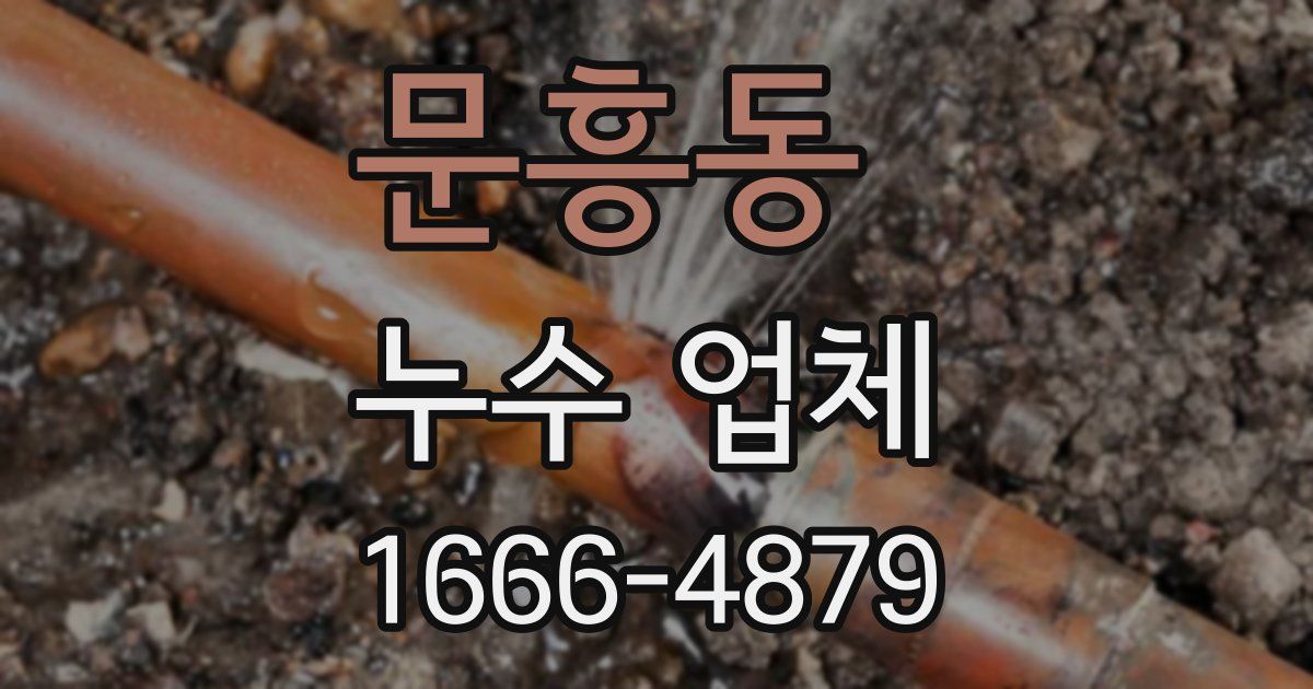 문흥동 누수 업체