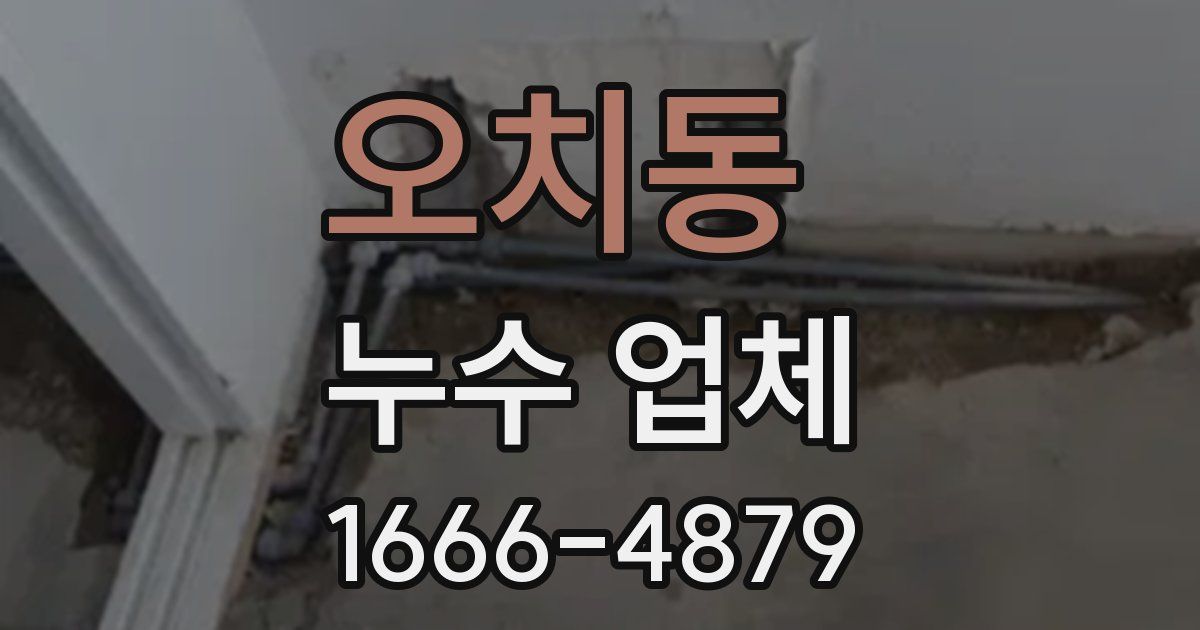 오치동 누수 업체