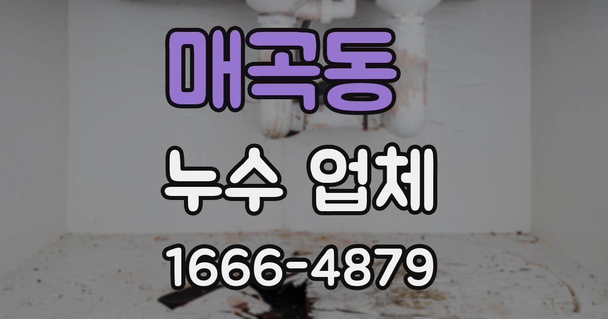 매곡동 누수 업체