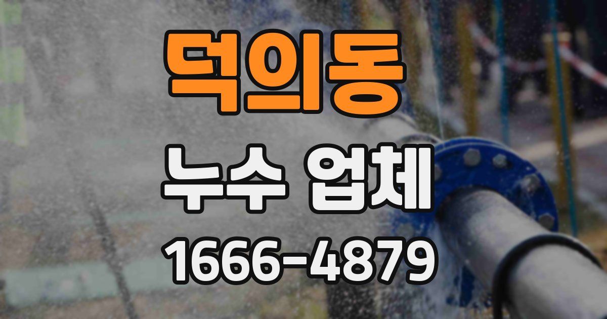 덕의동 누수 업체