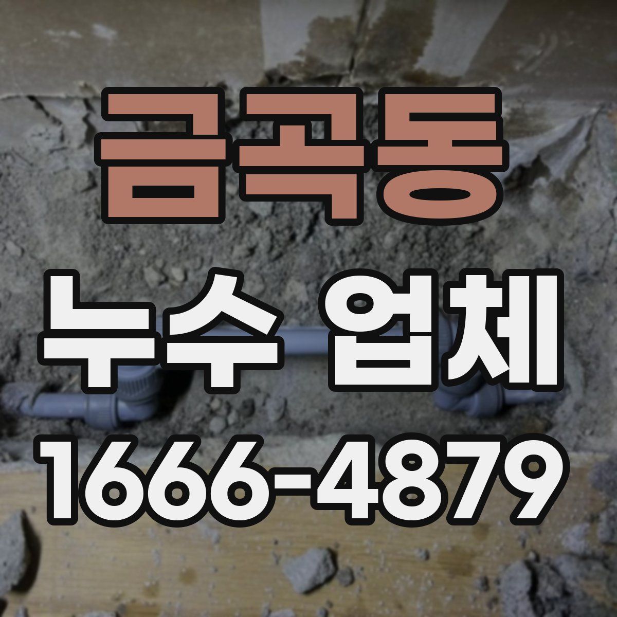 금곡동 누수 업체