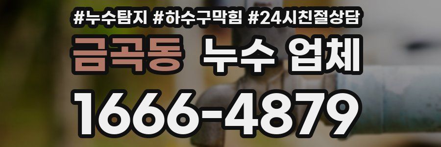 금곡동 누수 업체