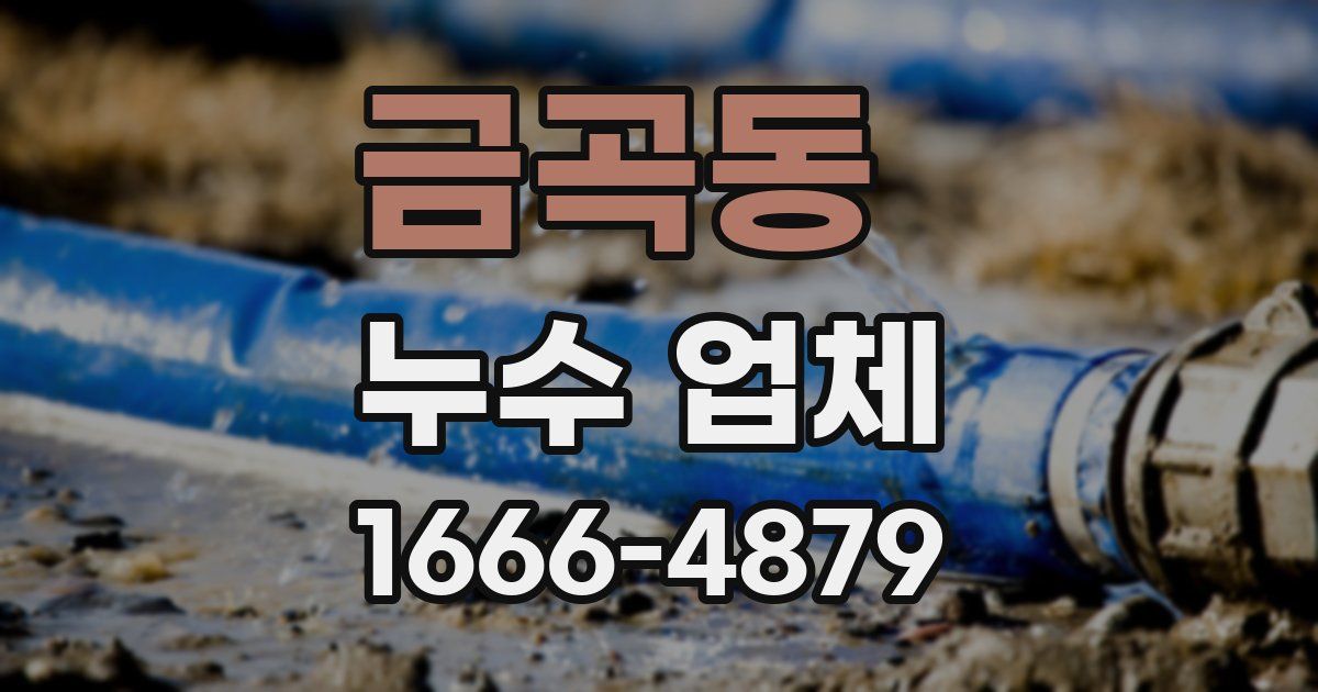 금곡동 누수 업체