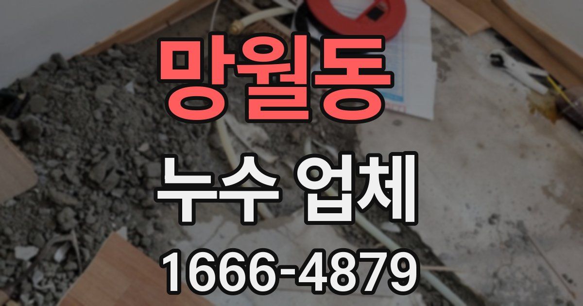 망월동 누수 업체