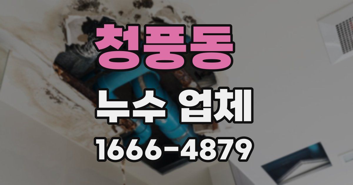 청풍동 누수 업체