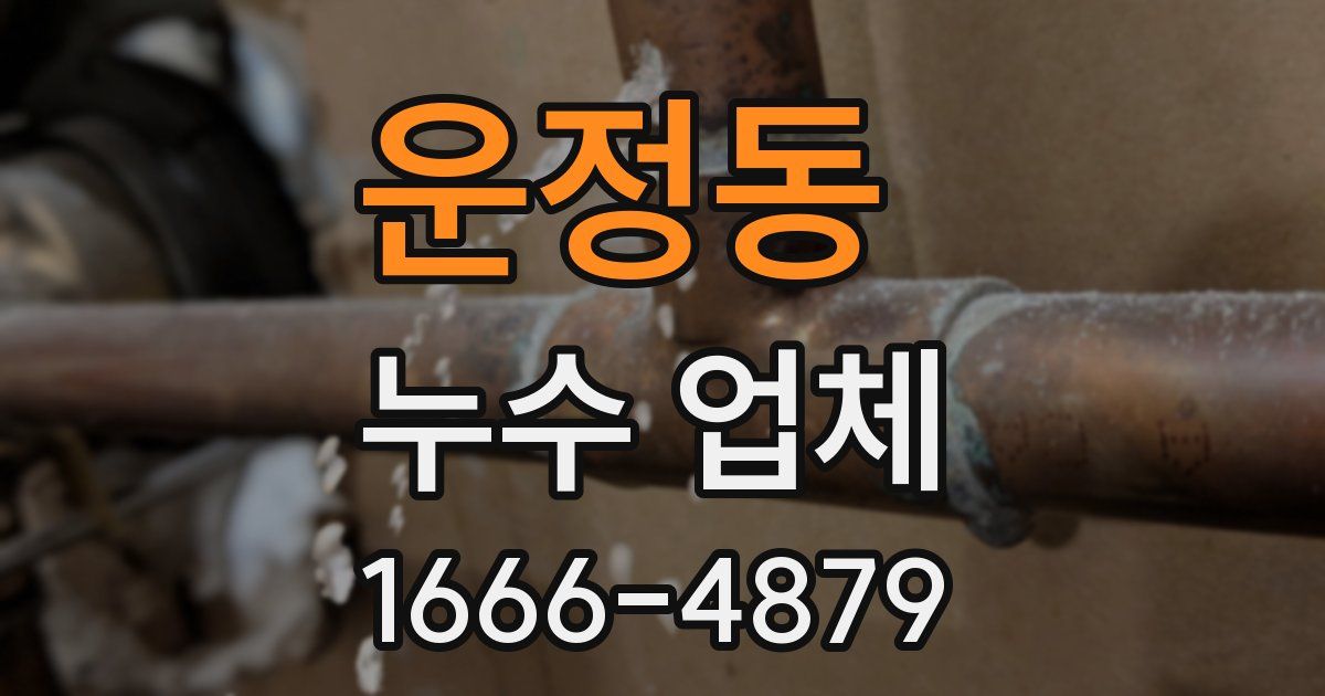 운정동 누수 업체