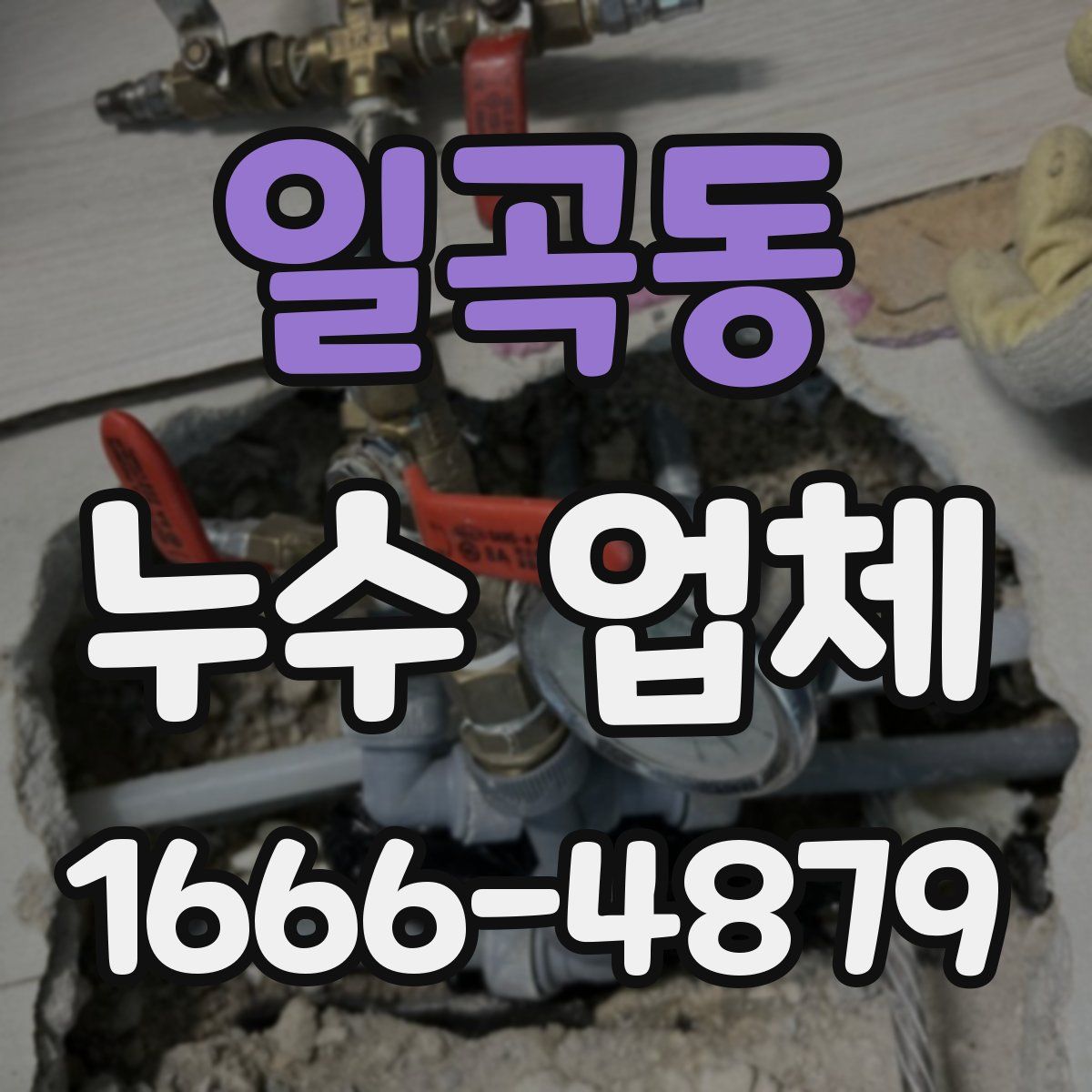 일곡동 누수 업체