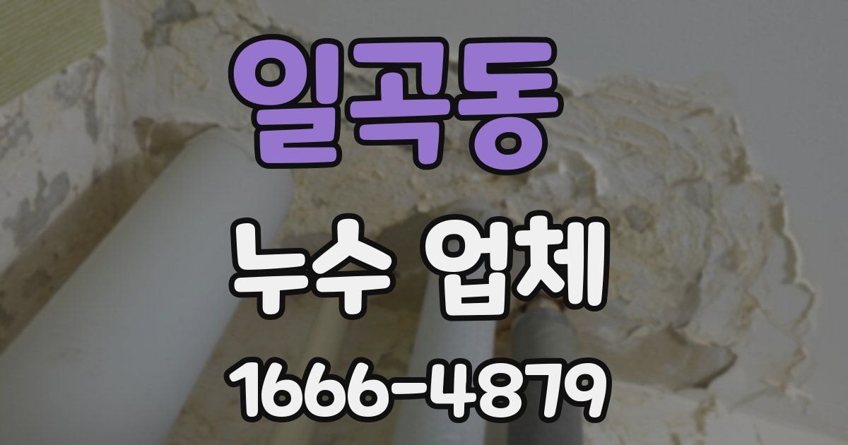 일곡동 누수 업체