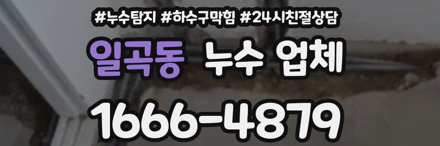일곡동 누수 업체