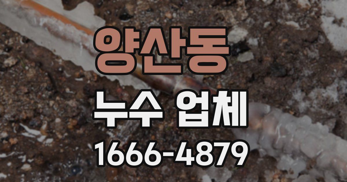 양산동 누수 업체