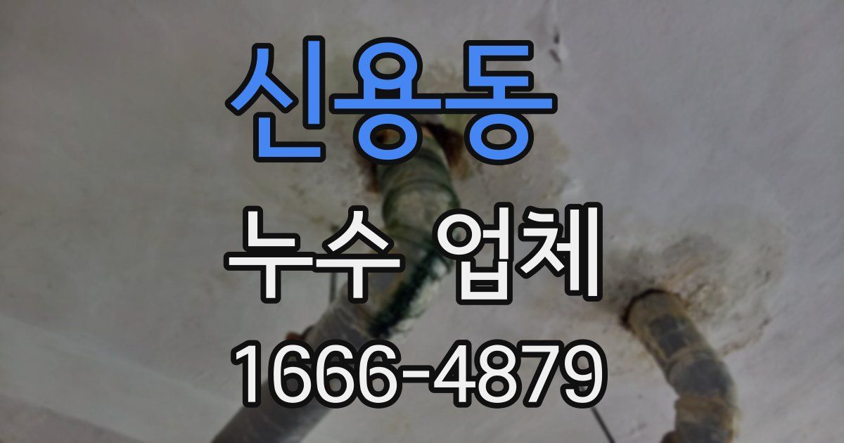 신용동 누수 업체
