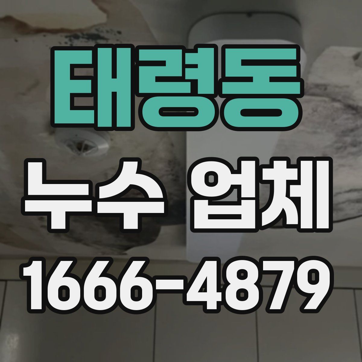 태령동 누수 업체