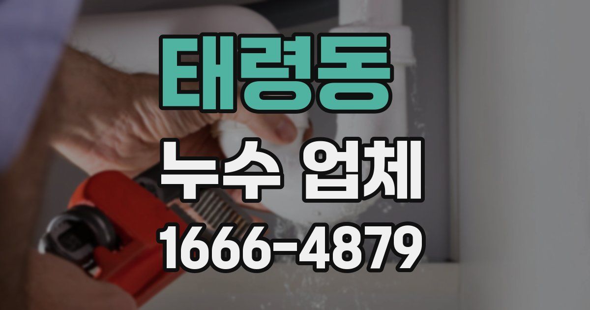 태령동 누수 업체