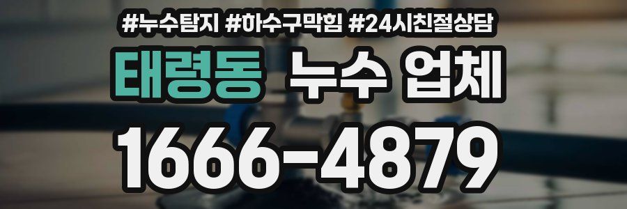 태령동 누수 업체
