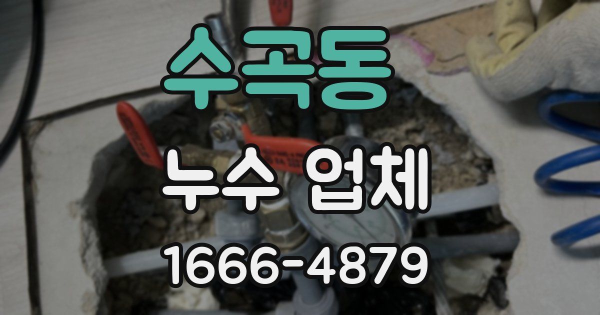 수곡동 누수 업체