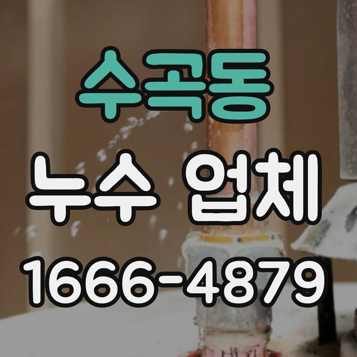 수곡동 누수 업체