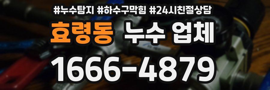 효령동 누수 업체