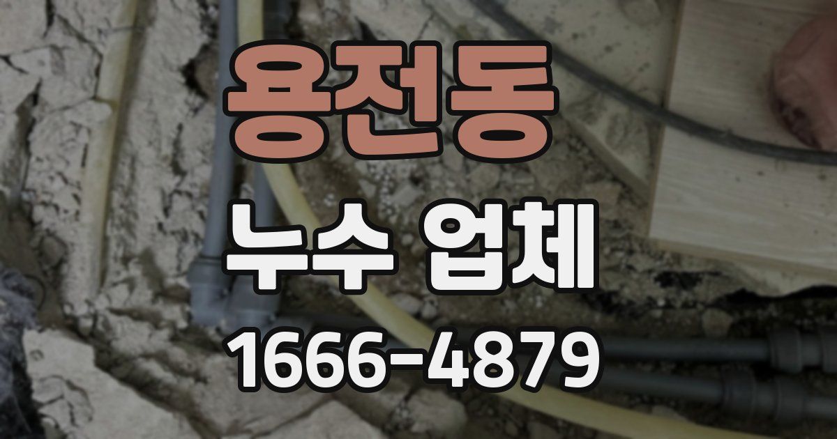 용전동 누수 업체