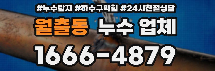 월출동 누수 업체