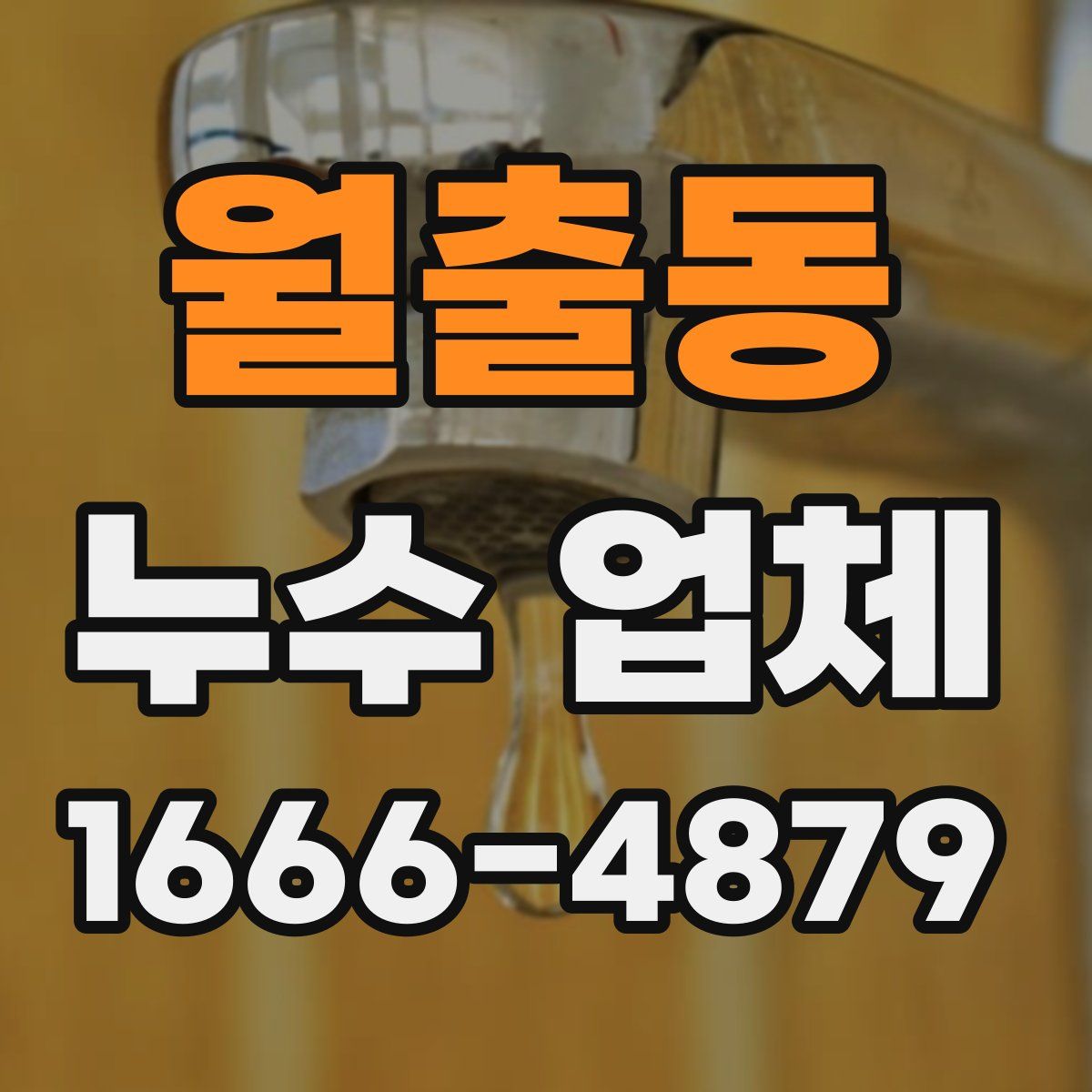 월출동 누수 업체