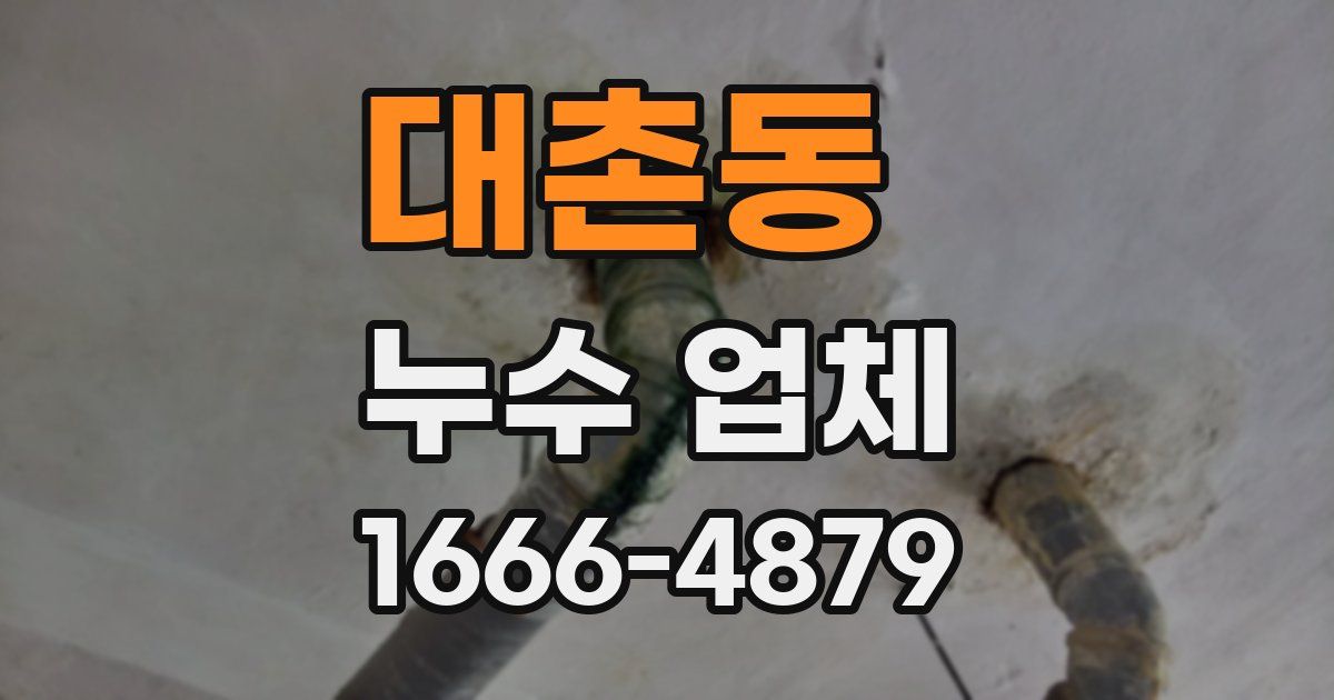 대촌동 누수 업체