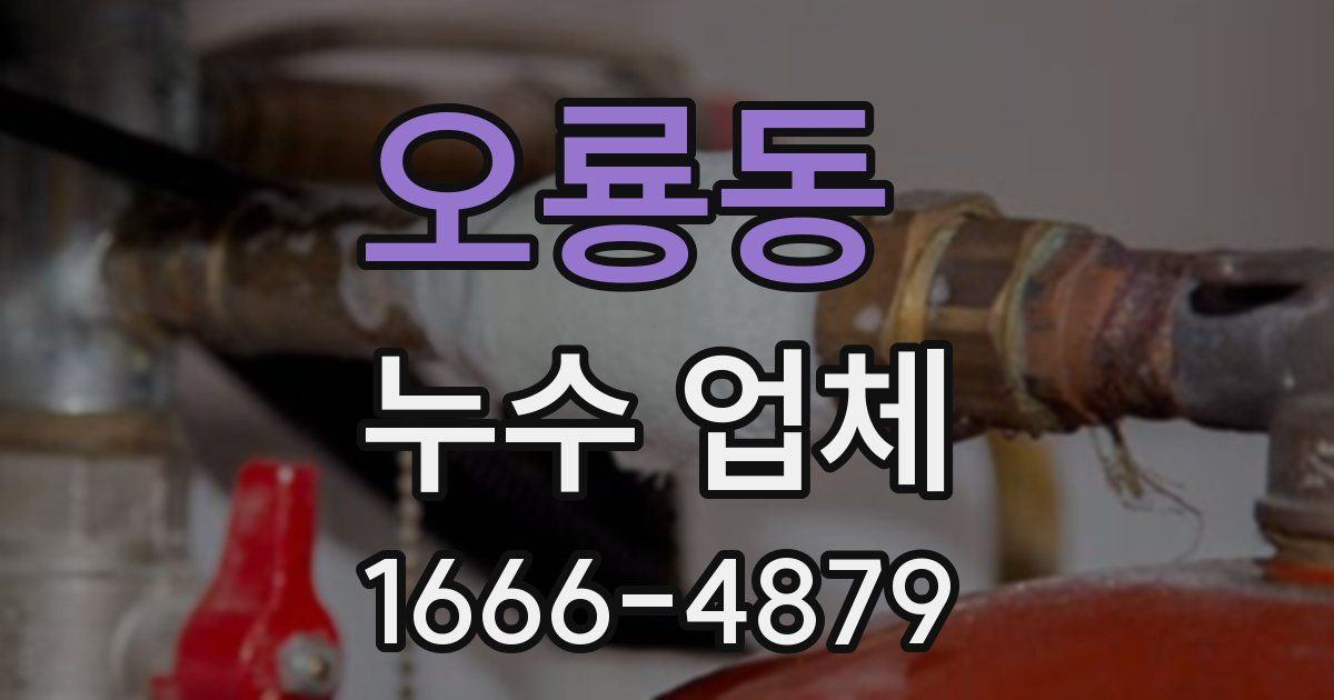 오룡동 누수 업체