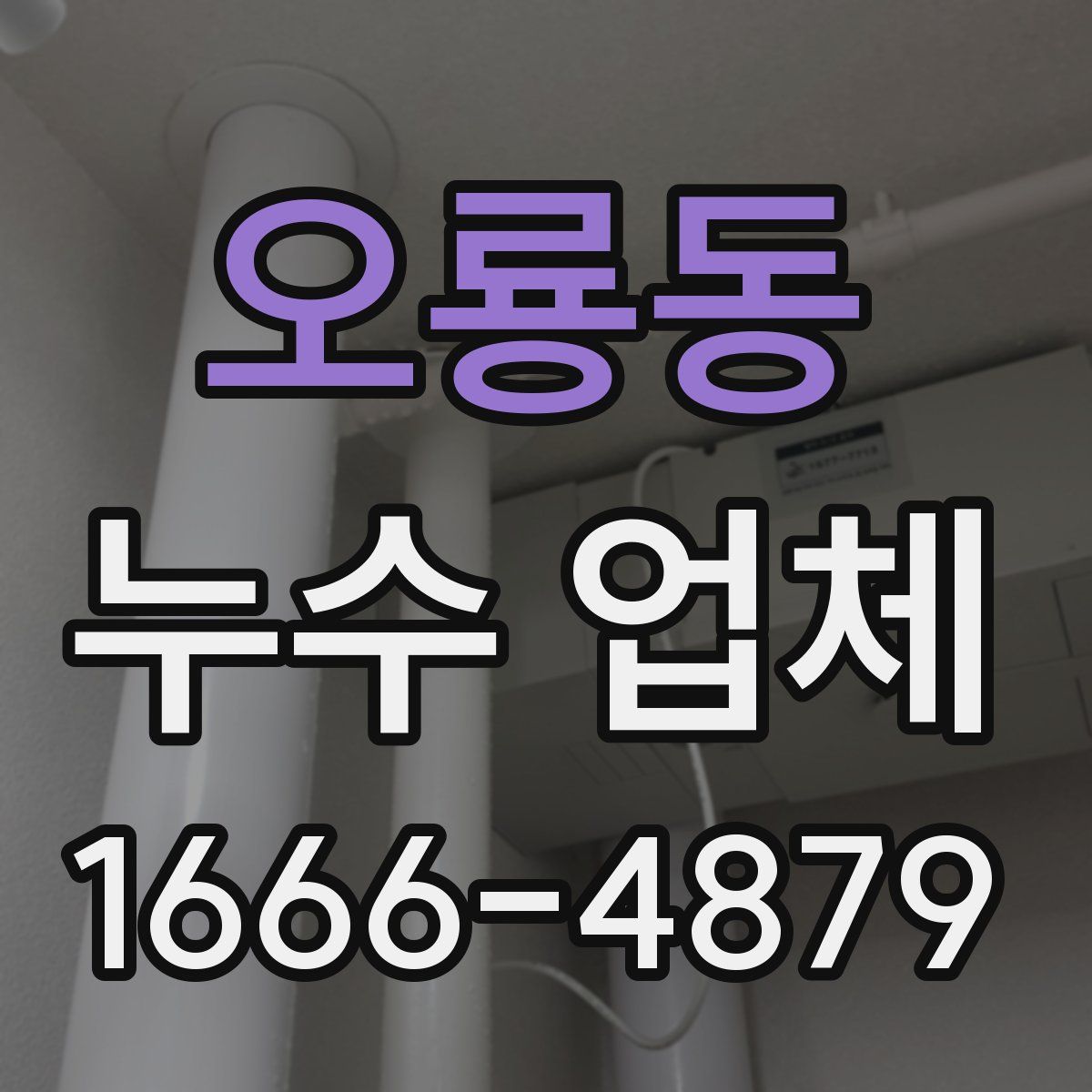오룡동 누수 업체