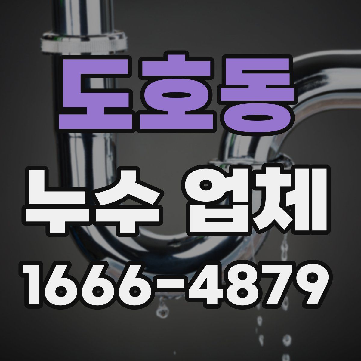 도호동 누수 업체
