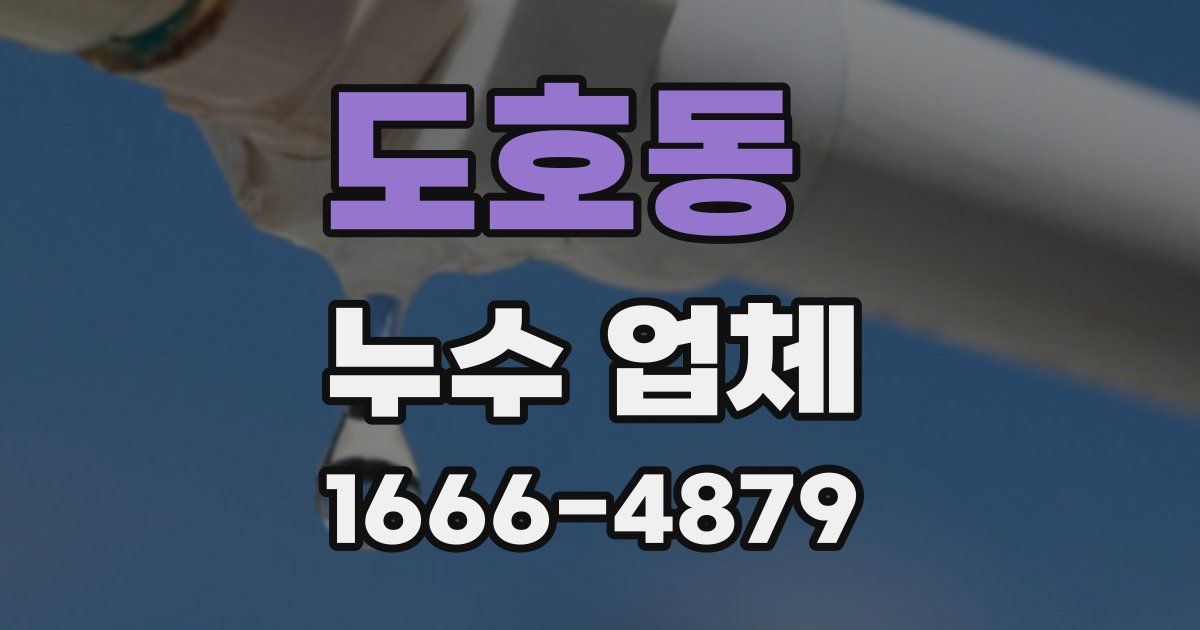 도호동 누수 업체