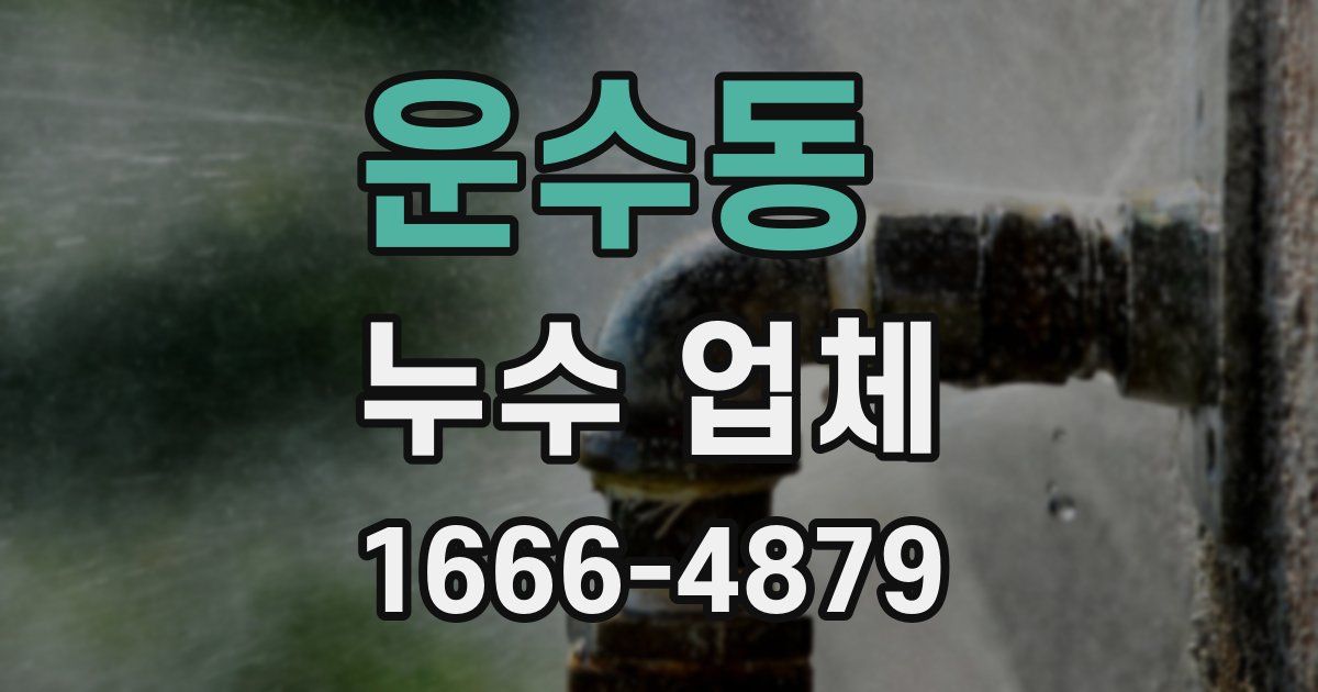 운수동 누수 업체